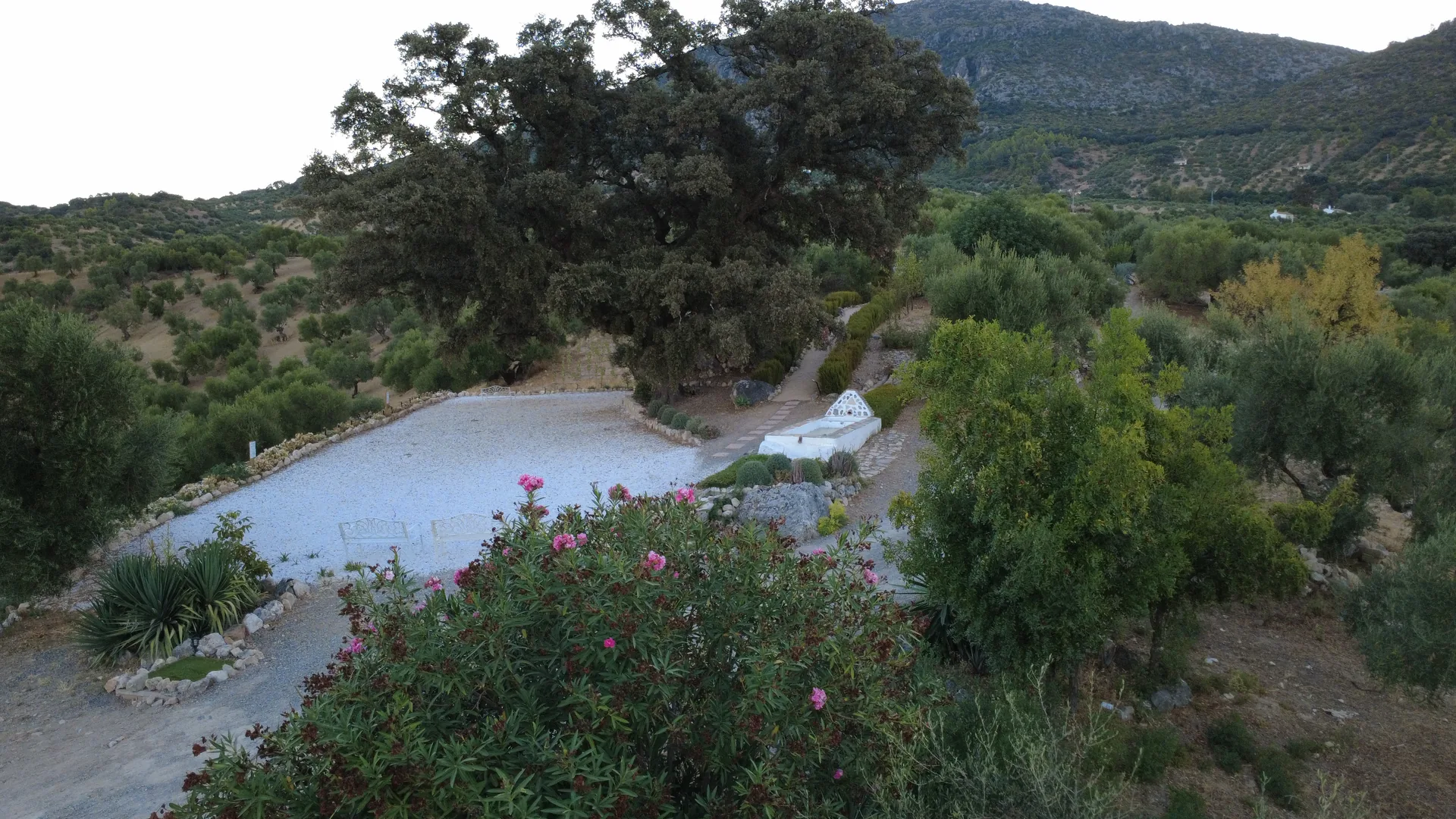 Bodas en Hacienda Molino Nuevo